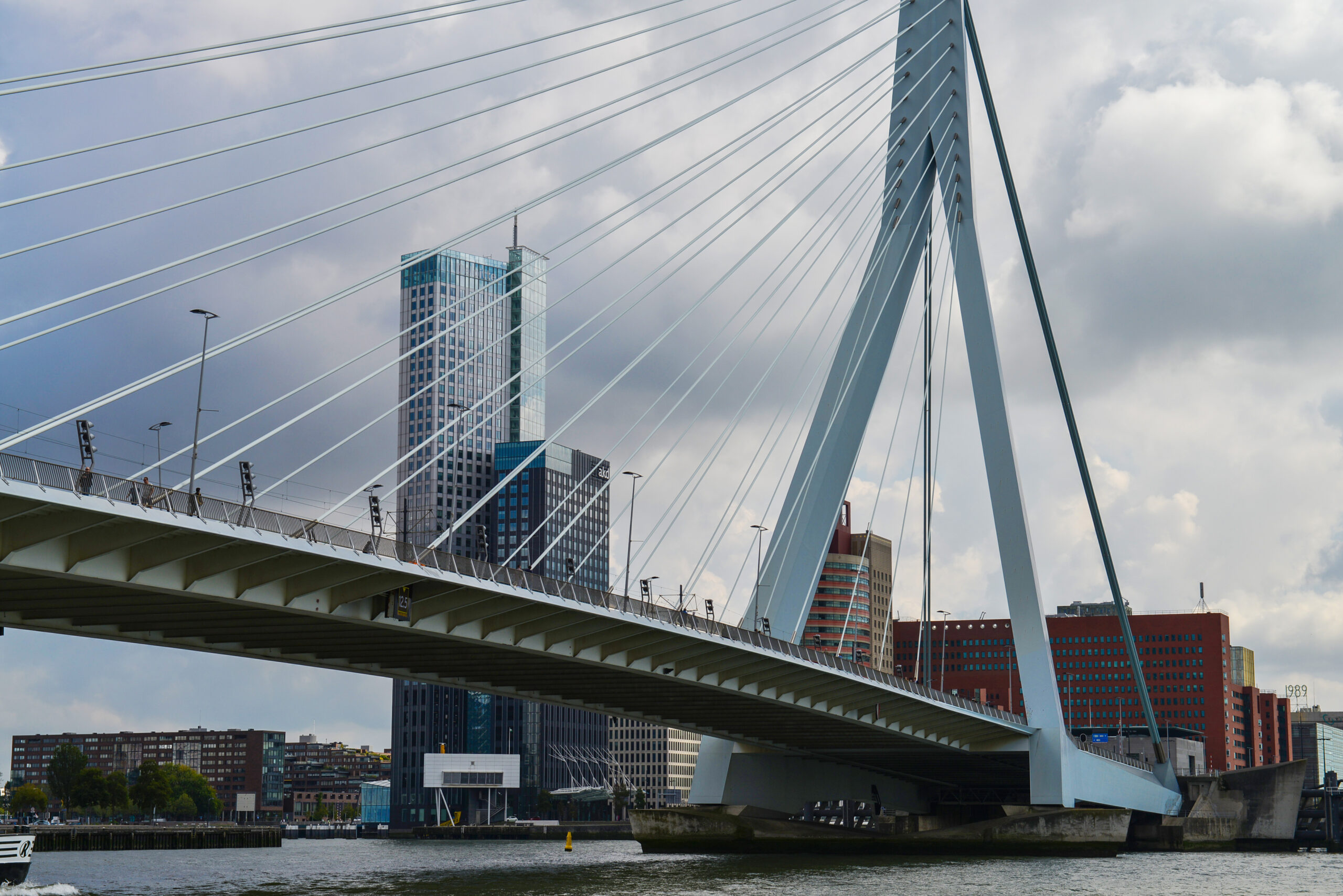 Rotterdam skyline and Erasmus Bridge